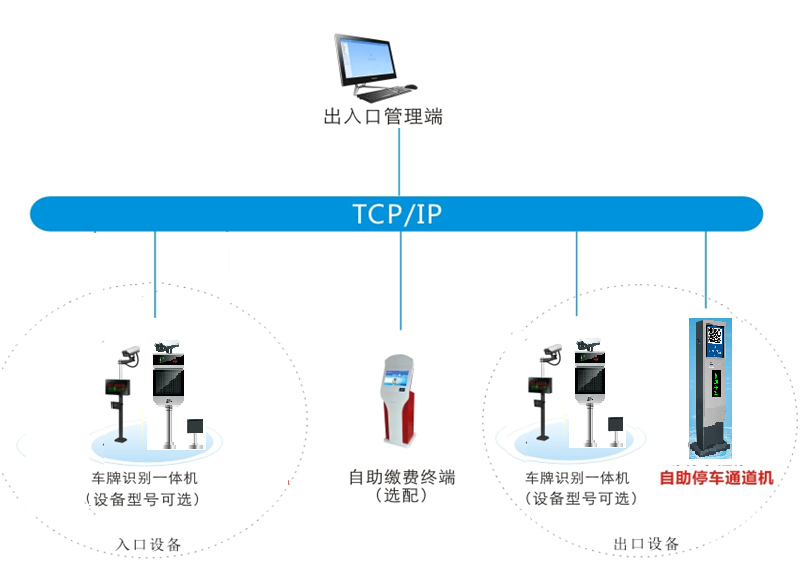亚洲综合AV在线在线播放
